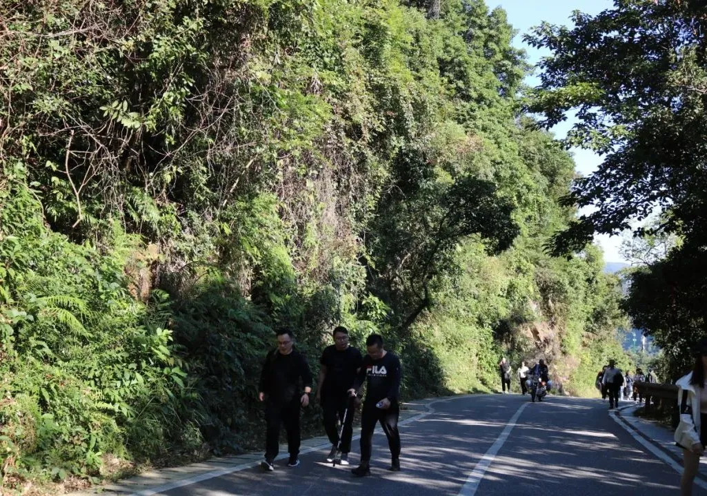海普天丨市場部團(tuán)建活動---梧桐山之旅......(圖7)