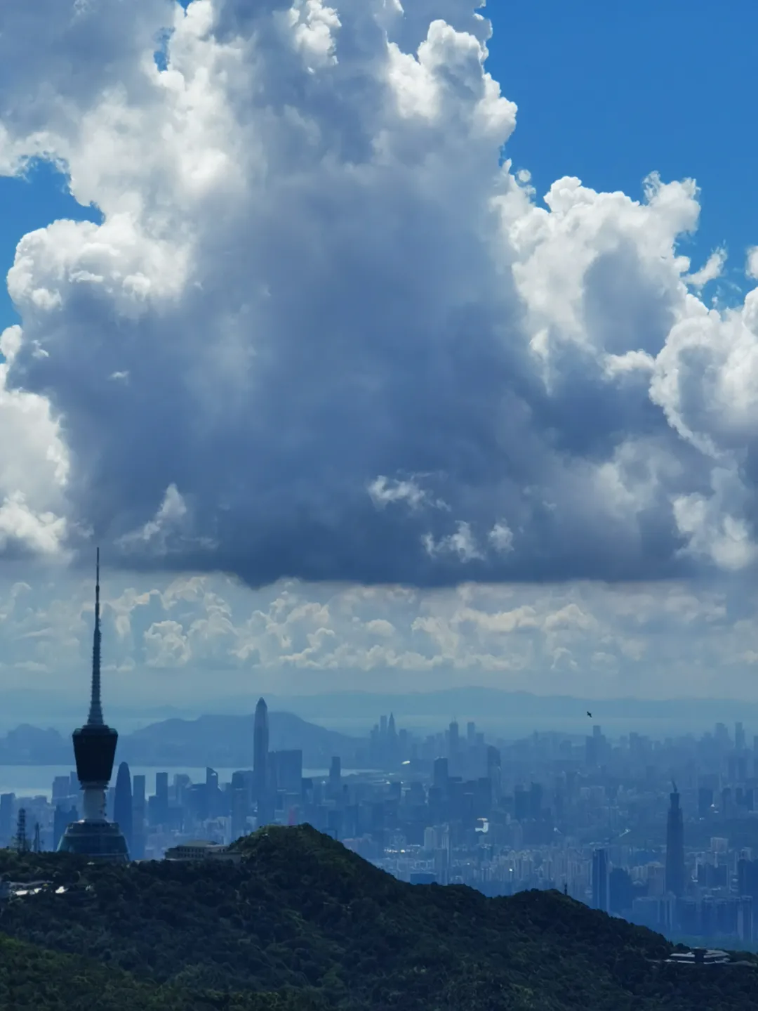 海普天丨市場部團(tuán)建活動---梧桐山之旅......(圖19)